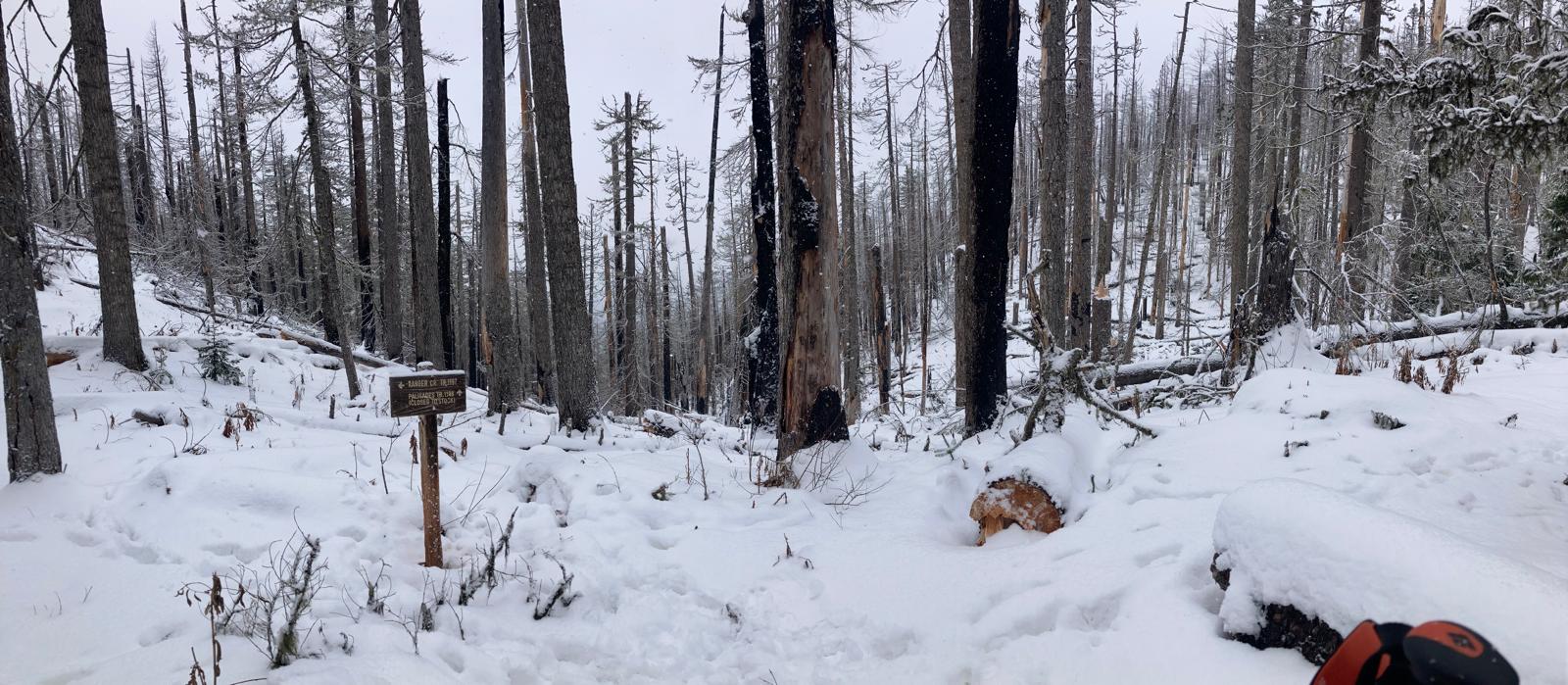 Avoiding Crystal Mountain Crowds on Little Ranger Peak