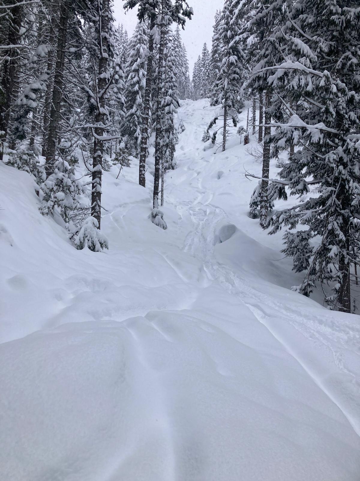 What is this? Powder Snow?